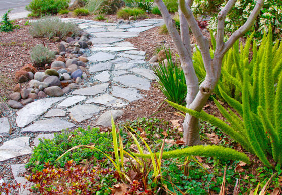 Roo Landscape & Garden Care is a Sacramento commercial and residential, landscaping company specializing in drought tolerant and drought resistant landscaping